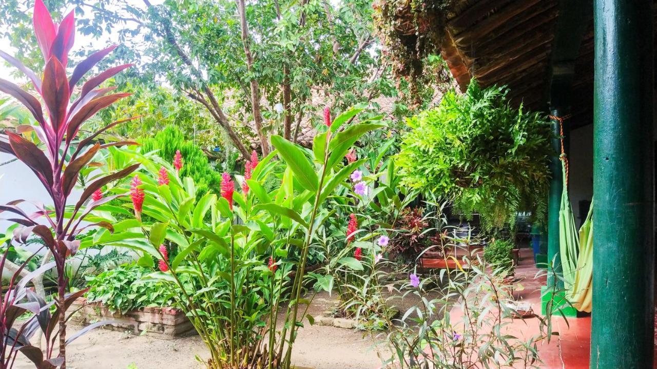 Cafe Mompox - Colonial House 아파트 외부 사진